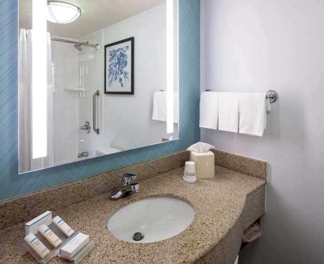 芝加哥歐海爾機場希爾頓花園飯店-一張特大床-6