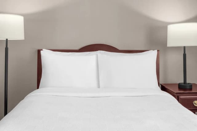 Bellevue Larkspur Landing Extended Stay Suites 飯店-開放式套房, 身障無障礙空間-3
