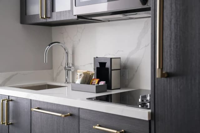 芝加哥市區壯麗大道旅居酒店-開放式客房, 1 張特大雙人床-3