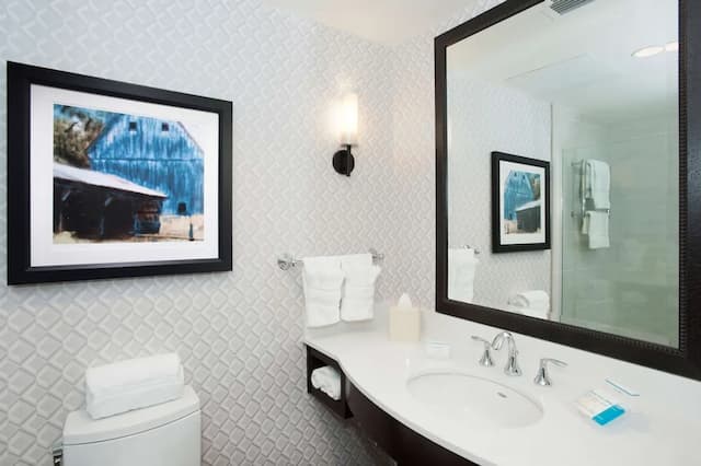 加州伯班克市中心希爾頓花園飯店-客房, 1 張特大雙人床, 非吸煙房-5