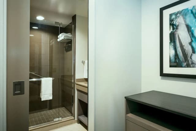 安克雷奇凱悅嘉寓酒店-套房, 1 間臥室 (1 King and 1 Sofa Bed)-9