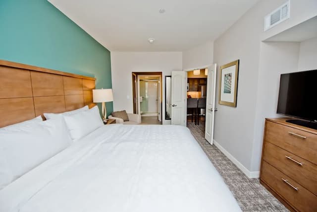 Staybridge Suites Houston - Humble Beltway 8 E by IHG-客房, 1 间卧室, 无障碍, 厨房 (Roll-In Shower)-3