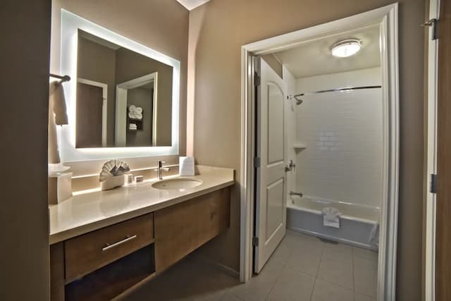 Staybridge Suites Houston - Humble Beltway 8 E by IHG-开间套房, 1 张特大床, 无障碍, 厨房 (Roll-In Shower)-8