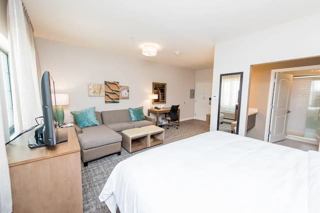 Staybridge Suites Houston - Humble Beltway 8 E by IHG-开间套房, 1 张特大床, 厨房-3