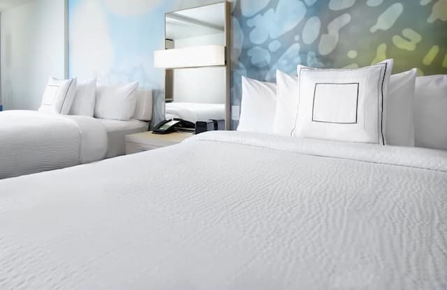 コートヤード・ヒューストン・インターコンチネンタル・エアポート-ルーム キングベッド 1 台ソファーベッド付き (Mobility/Hearing Access, Roll-In Shwr)-3