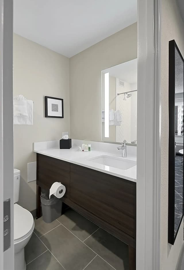 芝加哥 - 市中心假日套房飯店 - IHG 旗下飯店-標準客房, 2 張加大雙人床-3