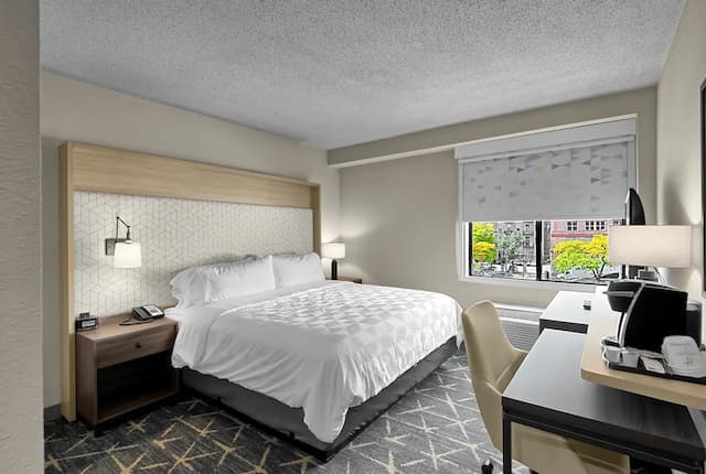 芝加哥 - 市中心假日套房飯店 - IHG 旗下飯店-客房, 1 張特大雙人床, 身障無障礙空間 (Accessible Tub)-1