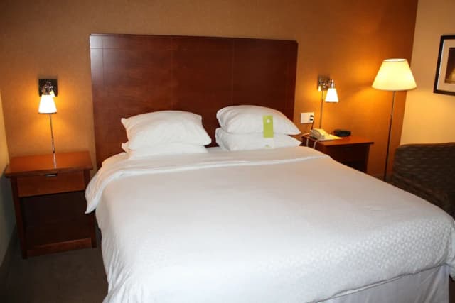 Four Points by Sheraton Chicago O'Hare Airport-Room, 1 King Bed-2