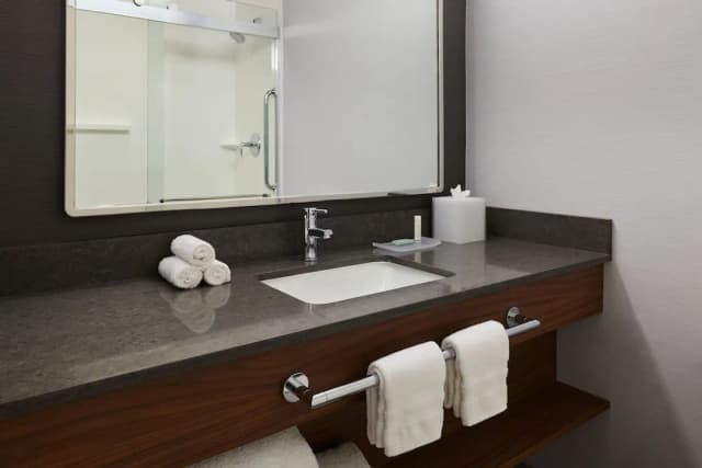 洛杉磯西區萬怡酒店-客房, 1 張特大雙人床及 1 張梳化床 (Mobility/Hearing Access, Roll-In Shwr)-7