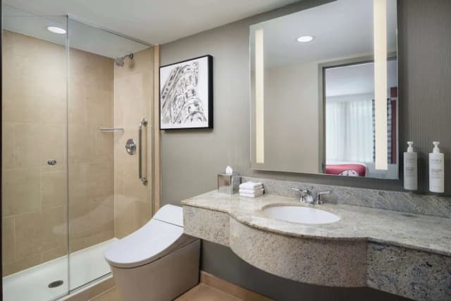 紐約西 35 街希爾頓花園酒店-套房, 1 張特大雙人床, 非吸煙房-4