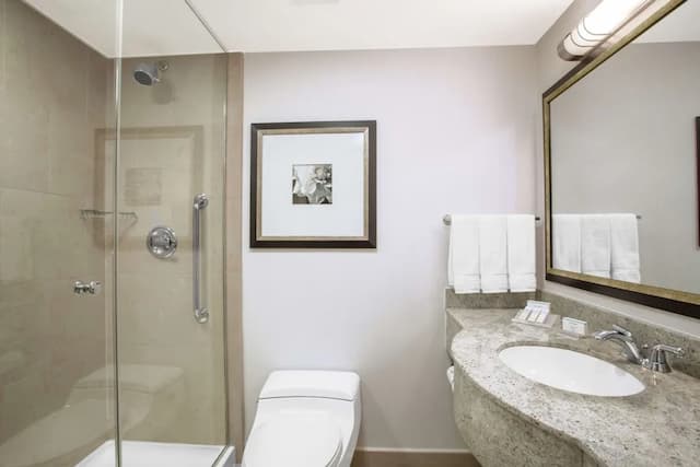 Hilton Garden Inn New York/West 35th Street-Room, 1 Double Bed, City View (Macy's Parade)-4