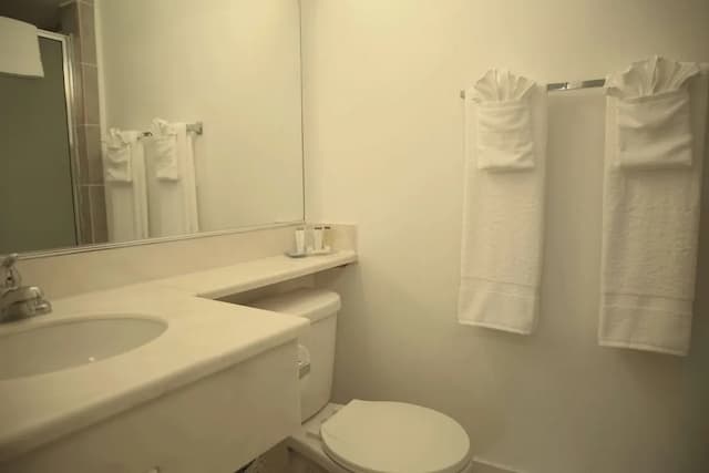 柏本克格倫代爾溫德姆旅遊旅館-客房, 2 張加大雙人床, 非吸煙房-2