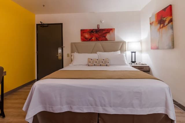 Kawada Hotel-Deluxe Room, 1 King Bed, Accessible, Refrigerator & Microwave-2