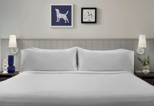 ソネスタ ES スイーツ シカゴ ダウンタウン マグニフィセント マイル - メディカル-スイート ベッド (複数台) (Two Bedroom)-2