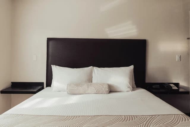 迪克西好萊塢飯店-豪華客房, 1 張特大雙人床, 非吸煙房-4