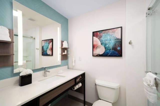 힐튼 가든 인 휴스턴/클리어 레이크 NASA-룸, 킹사이즈침대 1개, 장애인 지원 (Hearing)-10