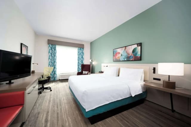 힐튼 가든 인 휴스턴/클리어 레이크 NASA-킹사이즈침대 1개-5