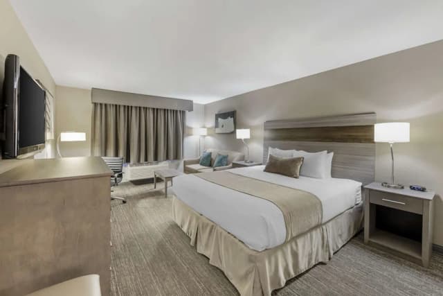 ベスト ウェスタン プラス エグゼクティブ イン-デラックス ルーム キングベッド 1 台ソファーベッド付き 禁煙 冷蔵庫 & 電子レンジ (with Sofabed)-2