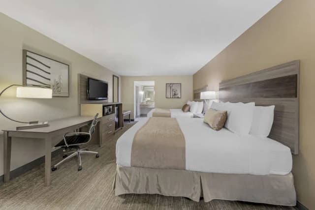 ベスト ウェスタン プラス エグゼクティブ イン-デラックス ルーム クイーンベッド 2 台 禁煙 冷蔵庫 & 電子レンジ-2