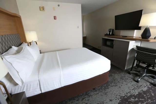ホリデイ イン シカゴ ノース ショア by IHG-スタンダード ルーム クイーンベッド 1 台 バリアフリー (Mobility)-1