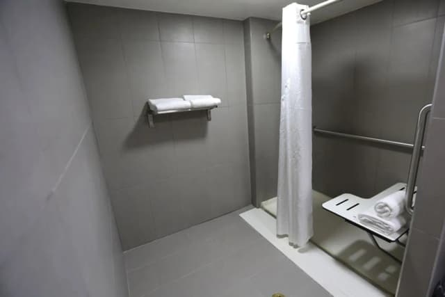 ホリデイ イン シカゴ ノース ショア by IHG-スタンダード ルーム クイーンベッド 1 台 バリアフリー (Roll-In Shower)-1