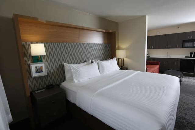 ホリデイ イン シカゴ ノース ショア by IHG-スイート キングベッド 1 台-2