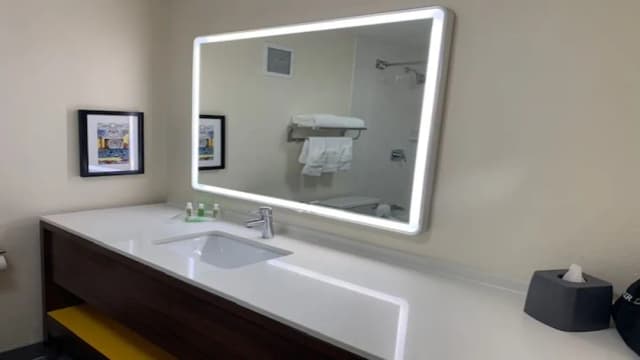ホリデイ イン シカゴ ノース ショア by IHG-スタンダード ルーム クイーンベッド 2 台 車いす対応 (Roll-In Shower)-4