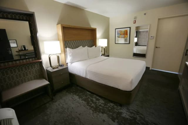 ホリデイ イン シカゴ ノース ショア by IHG-スタンダード ルーム キングベッド 1 台-3