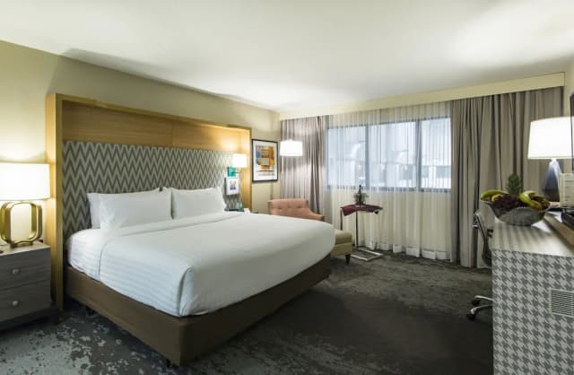 ホリデイ イン シカゴ ノース ショア by IHG-プレミアム ルーム キングベッド 1 台-1