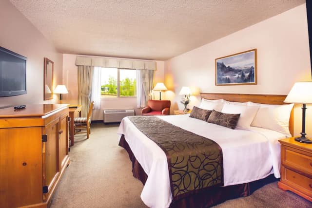 胡德湖海岸旅館-豪華客房, 1 張特大雙人床, 非吸煙房, 私人浴室 (Coast King)-1