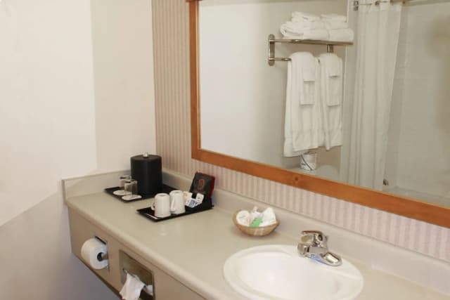 胡德湖海岸旅館-普通套房, 1 張特大雙人床, 非吸煙房, 私人浴室 (Coast Premium King Junior Suite)-2