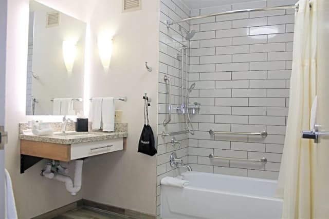 홈우드 스위트 바이 힐튼 시카고-다운타운-스위트, 킹사이즈침대 1개 및 소파베드, 장애인 지원, 욕조-4