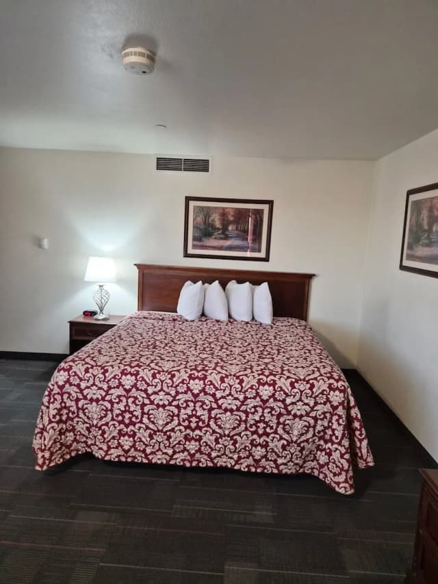 安科拉治機場阿萊克斯套房飯店-普通套房, 1 張特大雙人床, 冰箱和微波爐, 邊間-5