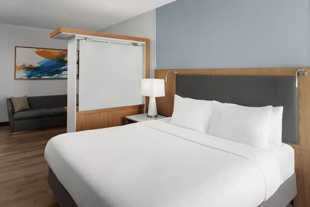 スプリングヒル スイーツ バイ マリオット ヒューストン インターコンチネンタル エアポート-スタジオ キングベッド 1 台ソファーベッド付き (Mobility/Hearing Accessible, Tub)-1