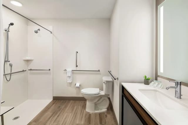 ヒルトン ガーデン イン シアトル エアポート-デラックス ルーム キングベッド 1 台 バリアフリー (Hearing)-3