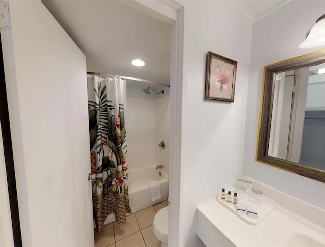 호텔 몰로카이-스탠다드룸, 킹사이즈침대 1개-5