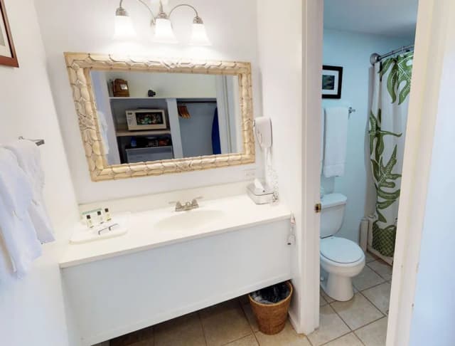 호텔 몰로카이-디럭스룸, 간이주방, 부분 바다 전망-8