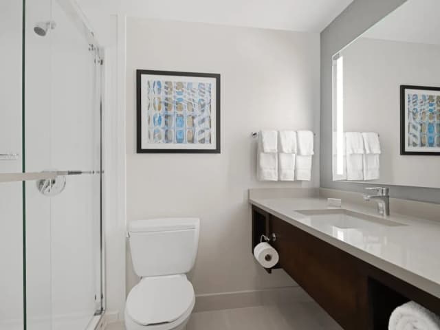 芝加哥市中心/華麗一英里希爾頓花園酒店-普通套房, 1 張特大雙人床及 1 張梳化床-2