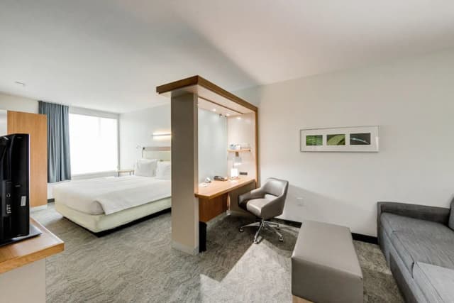 春山套房萬豪侯斯頓活蘭飯店-套房, 1 張特大雙人床和 1 張沙發床 (Mobility/Hearing Accessible, Tub)-2