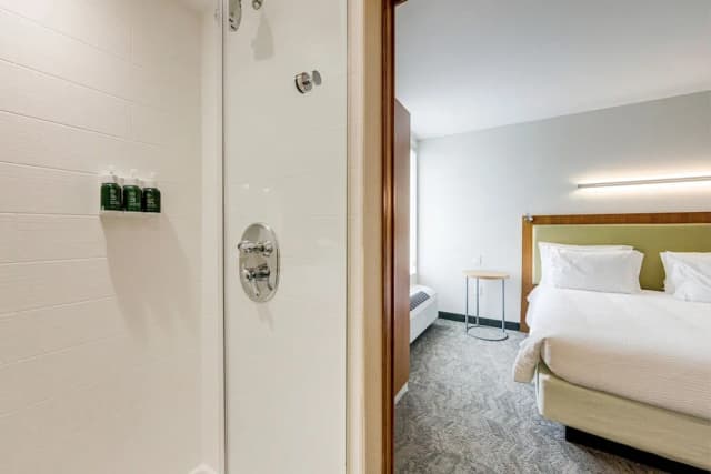 春山套房萬豪侯斯頓活蘭飯店-套房, 1 張特大雙人床和 1 張沙發床 (Hearing Accessible)-1