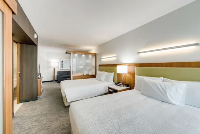 春山套房萬豪侯斯頓活蘭飯店-套房, 多張床 (Mobility/Hearing Access, Roll-In Shwr)-2