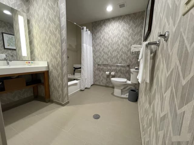 하얏트 플레이스 휴스턴 다운타운-룸, 킹사이즈침대 1개 및 소파베드, 장애인 지원, 욕조-5