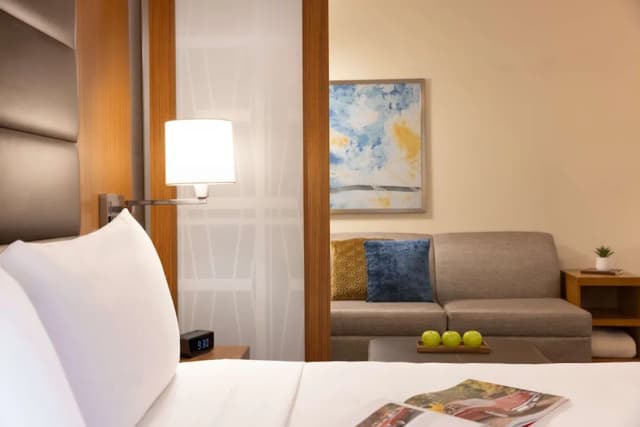 하얏트 플레이스 휴스턴 다운타운-룸, 킹사이즈침대 1개 및 소파베드 (High Floor)-2