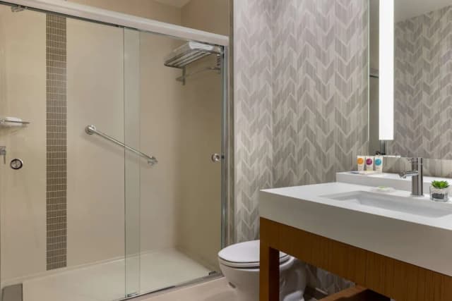 하얏트 플레이스 휴스턴 다운타운-룸, 킹사이즈침대 1개 및 소파베드 (High Floor)-5