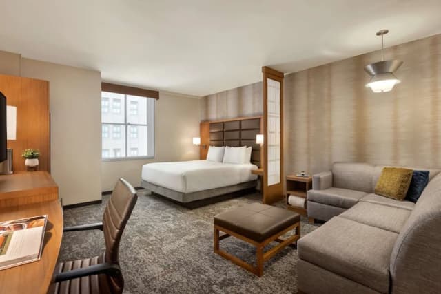 하얏트 플레이스 휴스턴 다운타운-룸, 킹사이즈침대 1개 및 소파베드 (High Floor)-4