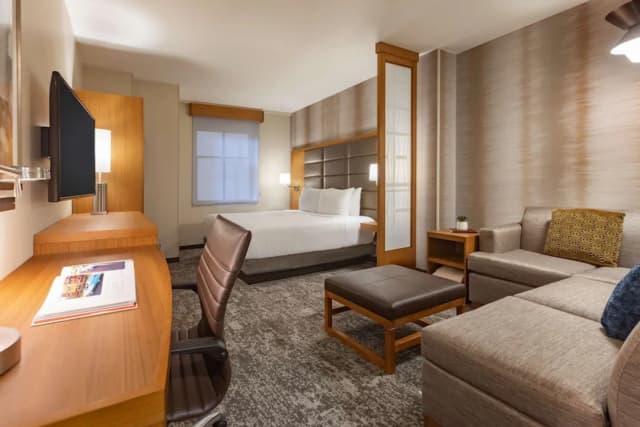 하얏트 플레이스 휴스턴 다운타운-스탠다드룸, 킹사이즈침대 1개 및 소파베드-3
