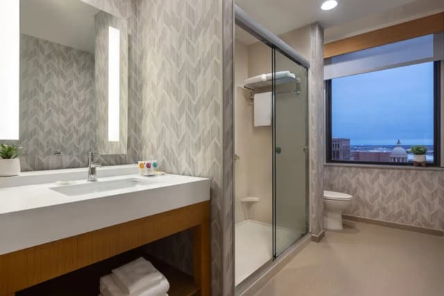 하얏트 플레이스 휴스턴 다운타운-룸, 킹사이즈침대 1개 및 소파베드 (Specialty)-6