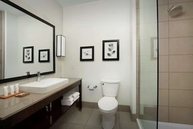 麗笙華盛頓州西雅圖塔科馬國際機場鄉村套房酒店-客房, 1 張特大雙人床, 非吸煙房-11