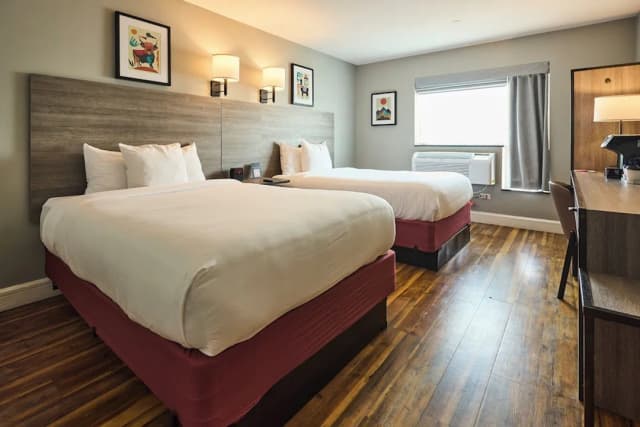 ザ  ロッジ レッド フック-スタンダード ルーム ダブルベッド 2 台-3