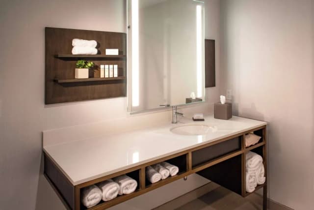 ヒルトン ガーデン イン  レッドモンド シアトル-ルーム キングベッド 1 台 バリアフリー 浴槽 (Hearing)-3